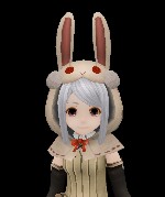 Bunny Ear Hood