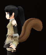 Squirrel Tail